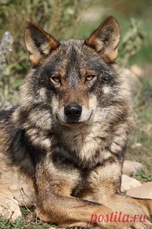 Таня Лукашева - Google+