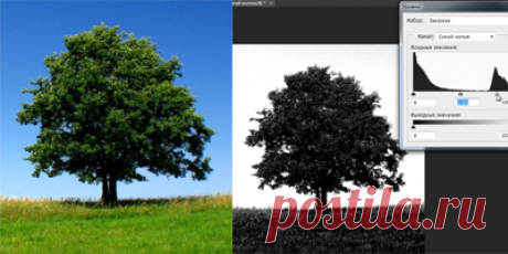 Видеоуроки - Уроки фотошопа