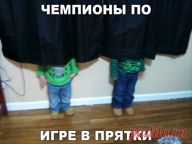 Чемпионы по игре в прятки
