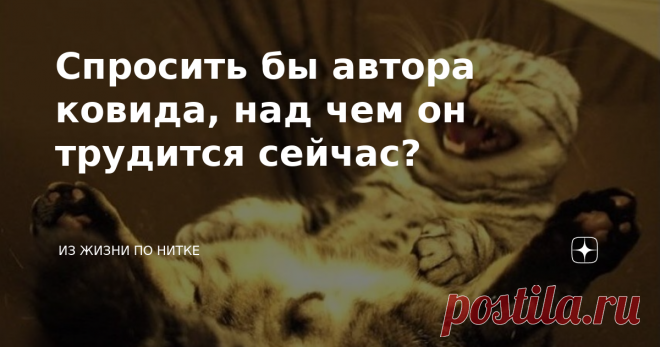 Спросить бы автора ковида, над чем он трудится сейчас? Уважаемые подписчики, спешу поделиться с Вами интересной подборкой смешных двустиший.  *** А при разгоне гей-парадов,
ОМОН стоит спина к спине. *** Ты – словно свет звезды далёкой,
такая ж мелкая фигня. *** Всю ночь не спал после спектакля,
так славно выспался на нём. *** А депутатам разрешили,
переходить на красный свет. *** Он до пожарных дозвонился,
прослушав несколько реклам. *** Мой организм томатным соком,
был не...