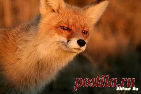 По-моему, она нам не доверяет...