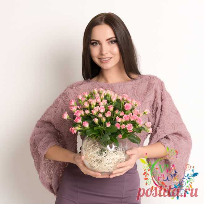 Роза сорт Грация - Viaflor
