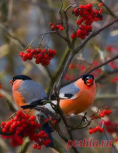 Валерий колягин. капельница рассказ (Аркадий Чужой) / Проза.ру - национальный сервер современной прозы