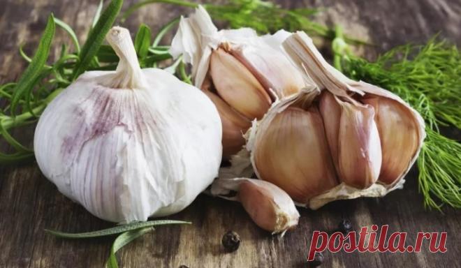 КАЖДОЕ УТРО, В ТЕЧЕНИИ 30 МИНУТ, Я РАССАСЫВАЛА ЗУБЧИК ЧЕСНОКА ВО РТУ… САМА НЕ ПОВЕРИЛА, ЧТО ПРОИЗОШЛО! — Journal women❜s