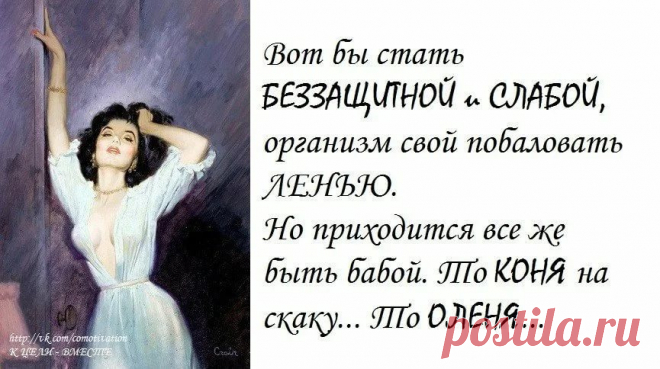 жалеть себя не обязательно а баловать необходимо: 1 тыс изображений найдено в Яндекс.Картинках