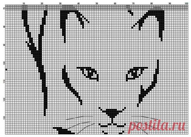 Gallery.ru / Фото #150 - Дикие животные (схемы) - Olgakam