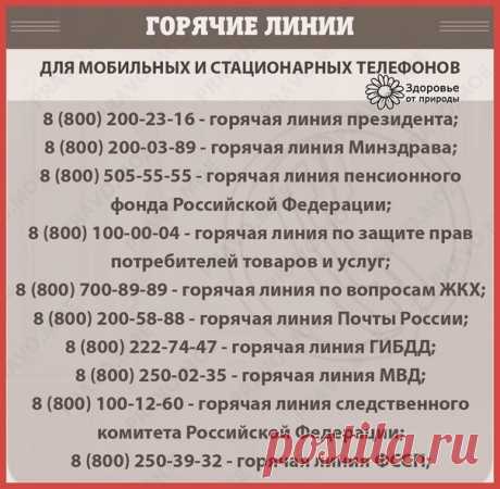 Памятка по горячим линиям России!