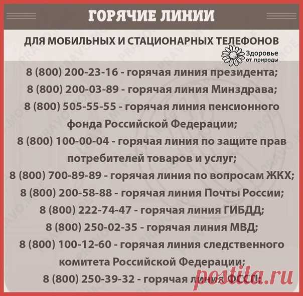 Памятка по горячим линиям России!