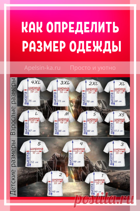 Как определить размер одежды для женщины, мужчины, детей