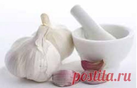 Как очистить сосуды головного мозга. Мощные рецепты народной медицины!