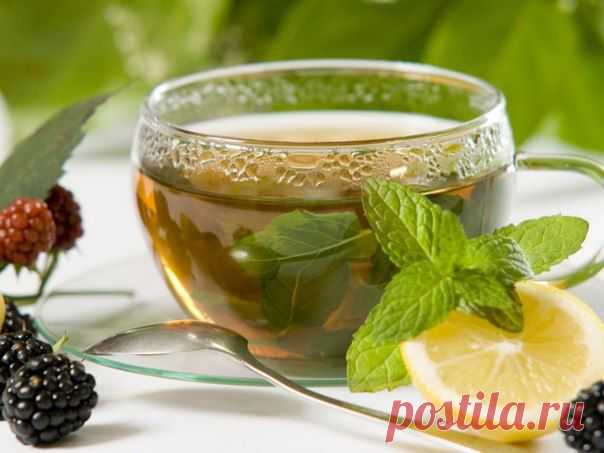 Настои и рецепты чая для русской бани » Мы из Сибири
