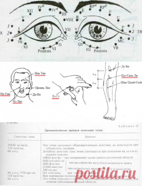 диагностика по точкам пи шу - Поиск в Google