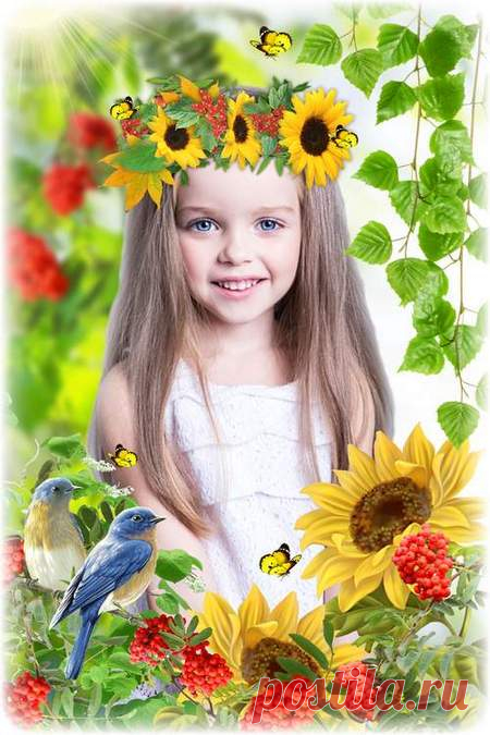 Nature, summer, photo frame. Transparent PNG Frame, PSD Layered Photo frame template, Download.