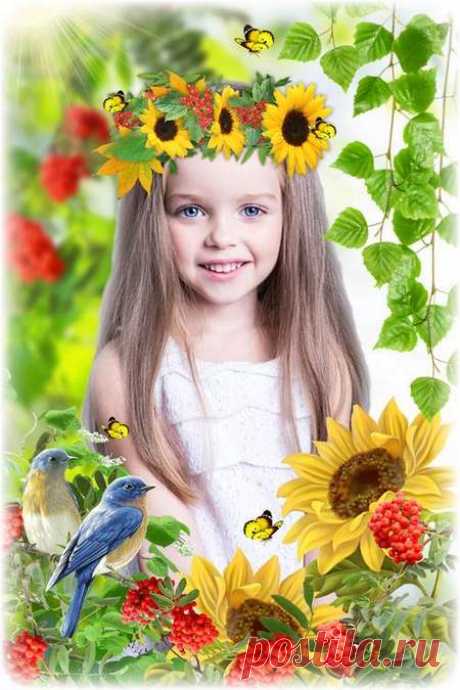 Nature, summer, photo frame. Transparent PNG Frame, PSD Layered Photo frame template, Download.