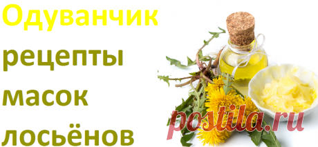 Одуванчик для лица: маски, лосьоны, отвары | Советы целительницы