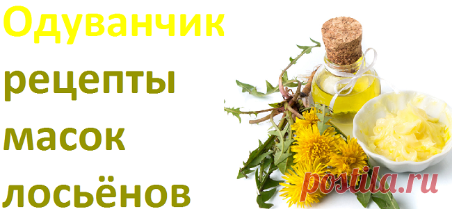 Одуванчик для лица: маски, лосьоны, отвары | Советы целительницы
