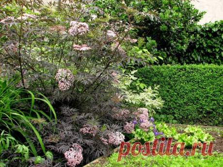 Яблочный сезон — Делаем руками