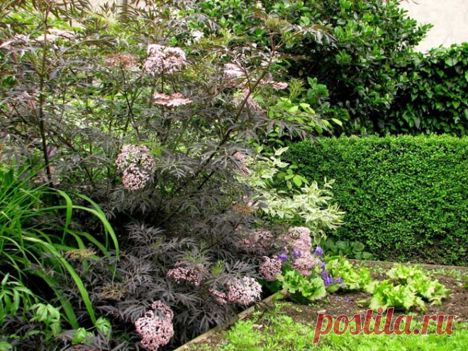 Яблочный сезон — Делаем руками