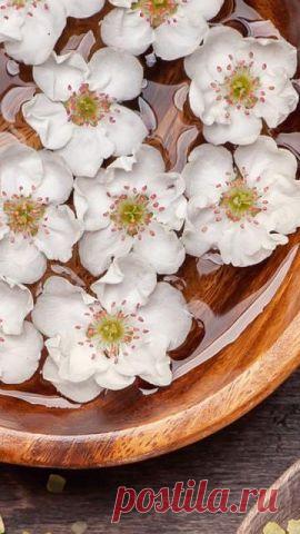 КрАсИвЫе АлЬбОмЫ-!!!
Юлия Ветер