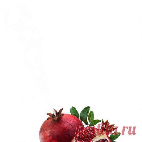 Франшиза-экотуман