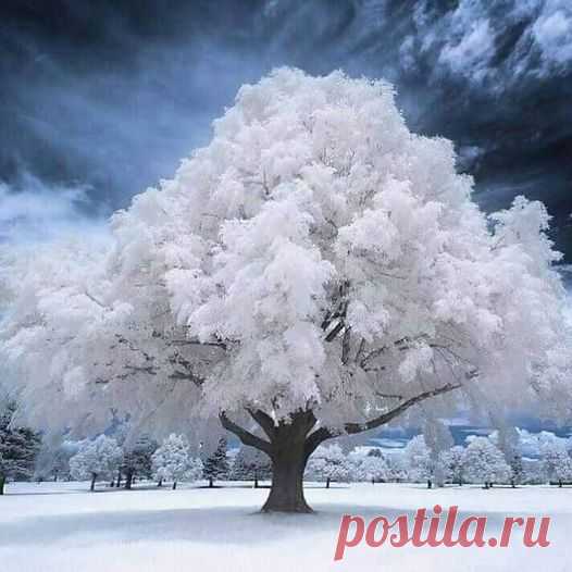 (20+) Facebook