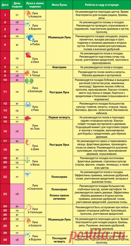 Лунный календарь садовода и огородника на апрель 2016 года | СЕЛЬСКОЕ ХОЗЯЙСТВО | АиФ Омск