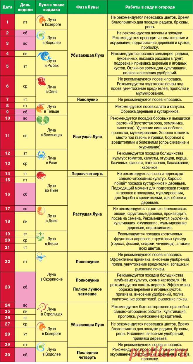 Лунный календарь садовода и огородника на апрель 2016 года | СЕЛЬСКОЕ ХОЗЯЙСТВО | АиФ Омск