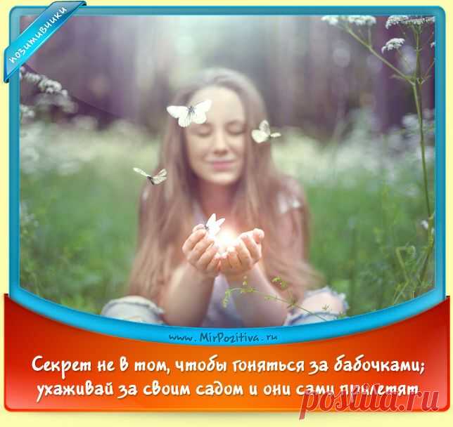 Позитивчики дня!