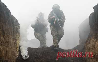 Кимаковский: кабан спас бойцов РФ от украинских дронов. Военные смогли уйти, когда противник переключился на животное, рассказал советник главы ДНР