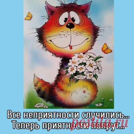 Новости