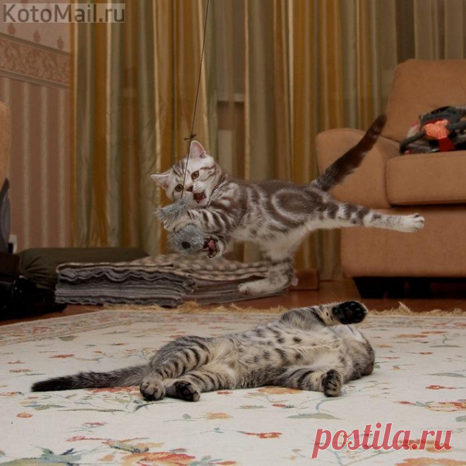 А ну-ка , давай-ка , прыгать как я!