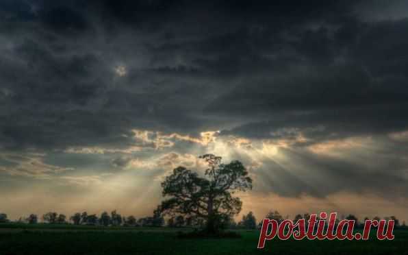 Предсказываем погоду