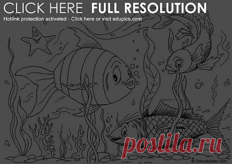 Coloring page fishes - img 4387.