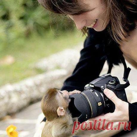 дай попробовать