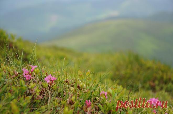 весенний Крым