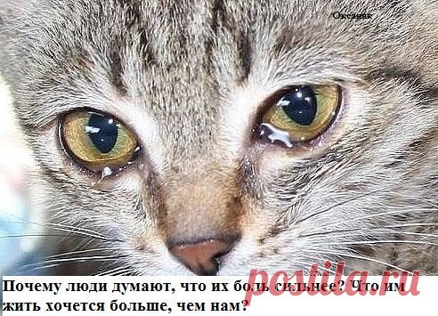 (1) Мой Мир@Mail.Ru