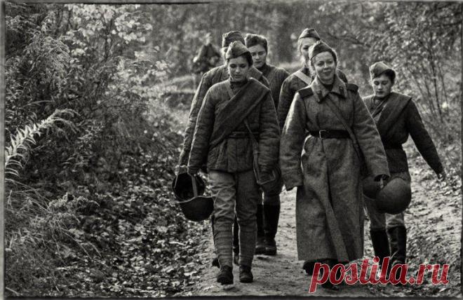 В шинельке, перешитой по фигуре... Юлия Друнина &raquo; Женский Мир