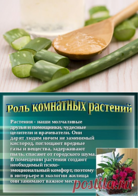 (2) Одноклассники