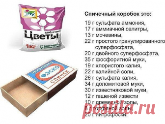 ОГОРОДНАЯ АРИФМЕТИКА: ОТМЕРЯЕМ УДОБРЕНИЯ 