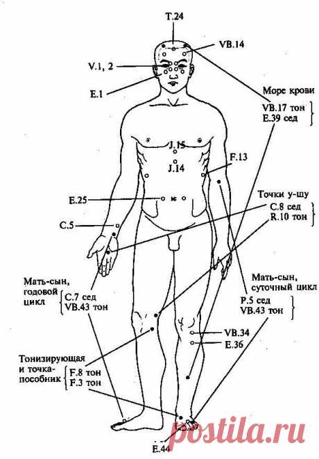 Лечение болезней с недостатком. энергии в меридиане печени Недостаток энергии в меридиане печени вызывают следу­ющие болезни: гипотоническая болезнь (70%), конъюнктивит и блефарит (60 %), неврит зрительного нерва