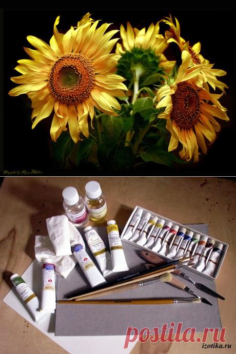Урок масляной живописи. Подсолнухи мастихином | Изотика