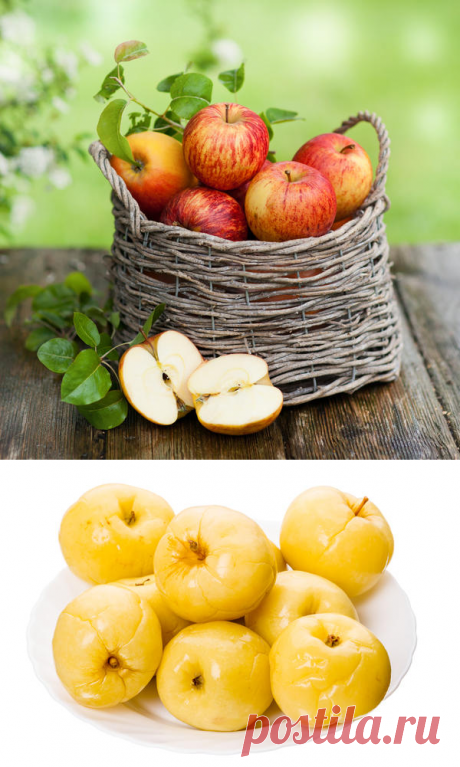 Яблоки на зиму: 12 беспроигрышных способов заготовки