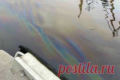 Нефть вылилась в реку в Петербурге