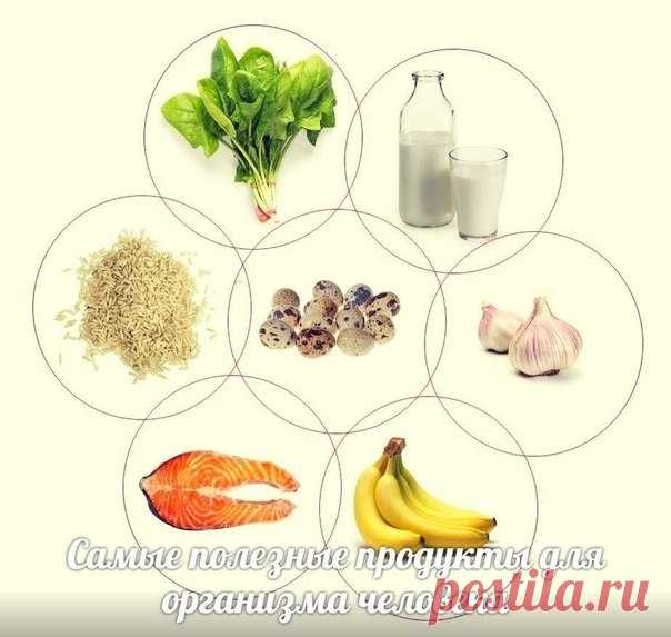 Самые полезные продукты для организма человека