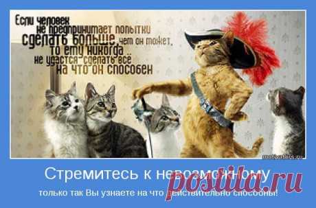 Результат – это следствие действия (или бездействия). Следовательно, если результат вас не устраивает, скорее всего, вы постоянно что-то делаете не так. Кардинально изменить ситуацию можно. Надо только перестать делать то, что вам мешает и тянет вас на дно, и начать делать те вещи, которые вам помогут
