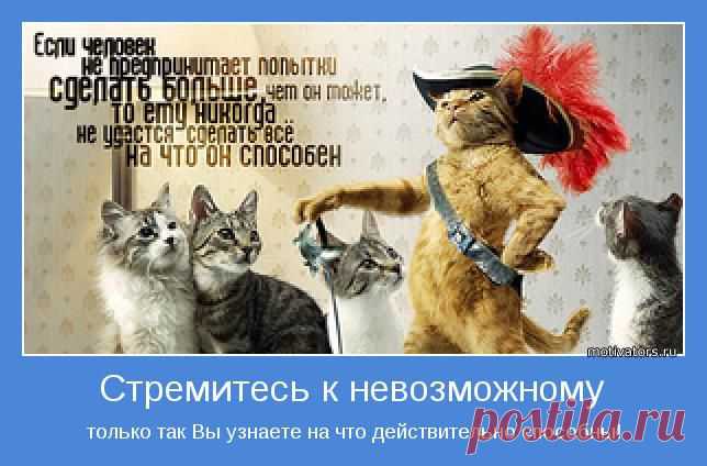 Результат – это следствие действия (или бездействия). Следовательно, если результат вас не устраивает, скорее всего, вы постоянно что-то делаете не так. Кардинально изменить ситуацию можно. Надо только перестать делать то, что вам мешает и тянет вас на дно, и начать делать те вещи, которые вам помогут