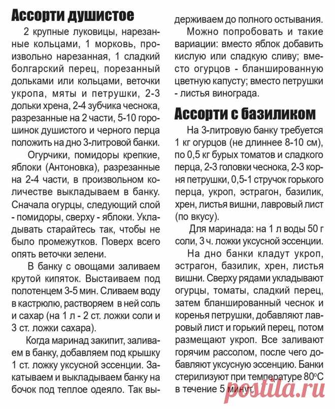 Ассорти душистое. Ассорти с базиликом
