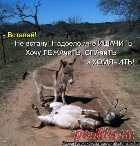 * Улыбнись!!! *