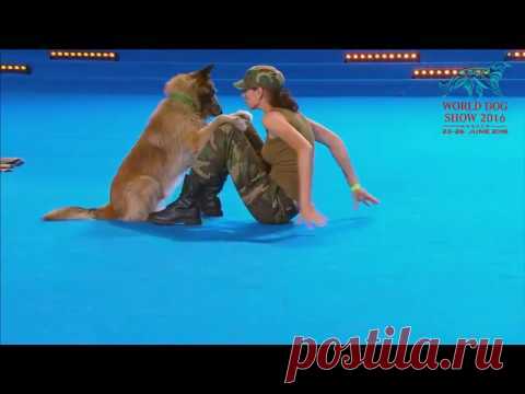 FCI Dog dance World Championship 2016 – Freestyle final  - Lusy Imbergerova and Deril (Italy)