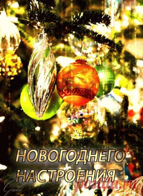 11183647.gif (550×750)